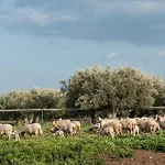 مزرعة للإقامة Il Vecchio Frantoio