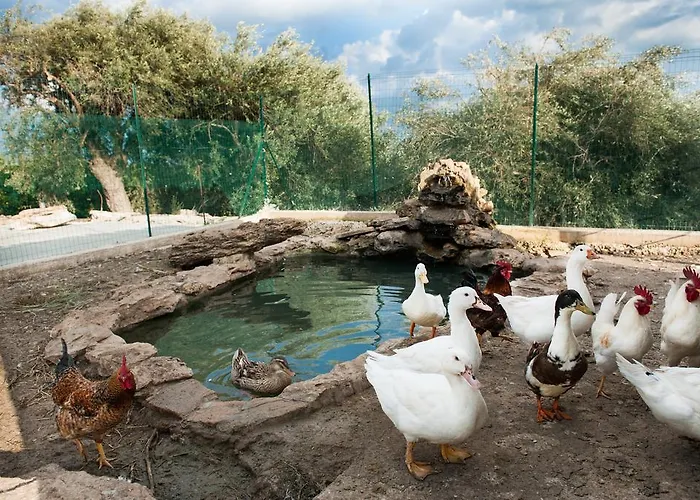 Il Vecchio Frantoio Bauernhof