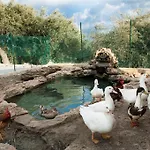 Il Vecchio Frantoio Alojamento de Turismo Rural