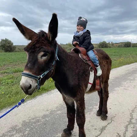 팜스테이 Il Vecchio Frantoio *