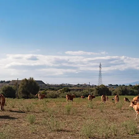 Il Vecchio Frantoio 아우구스타