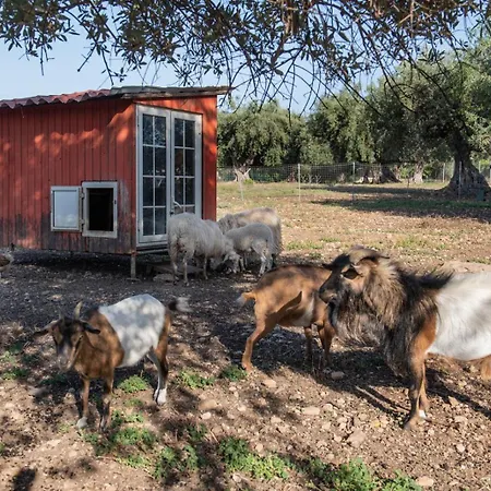 팜스테이 Il Vecchio Frantoio *