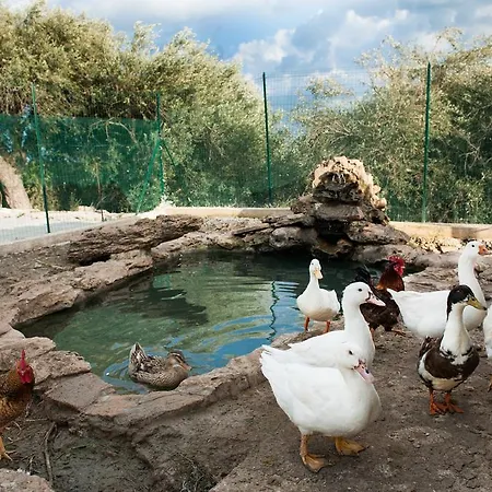 Il Vecchio Frantoio Alloggio per agriturismo