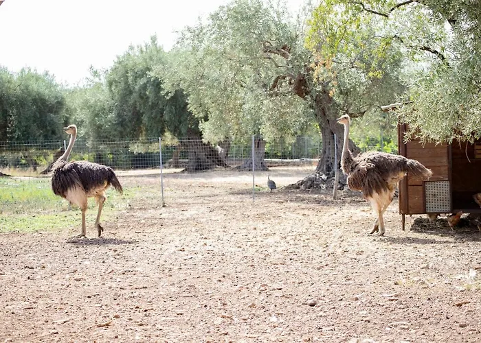 Farmház Il Vecchio Frantoio