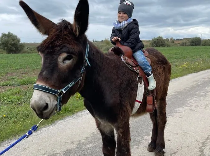 Farmház Il Vecchio Frantoio *