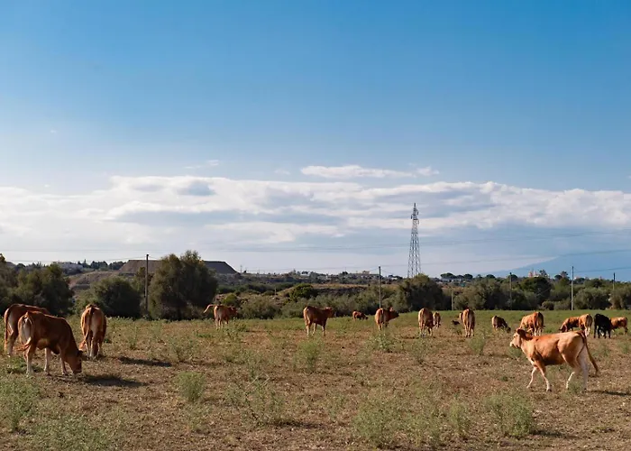 Il Vecchio Frantoio Augusta