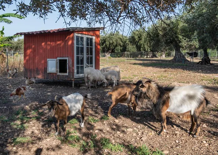 Farmház Il Vecchio Frantoio *